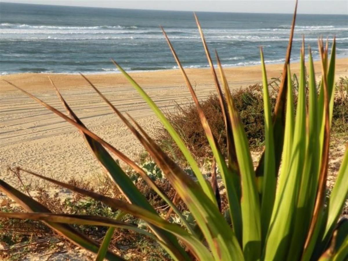 Studio Cosy Proche Ocean Et Commerces, Parfait Pour Des Vacances A Deux! - Fr-1-239-437 Сеньос Экстерьер фото